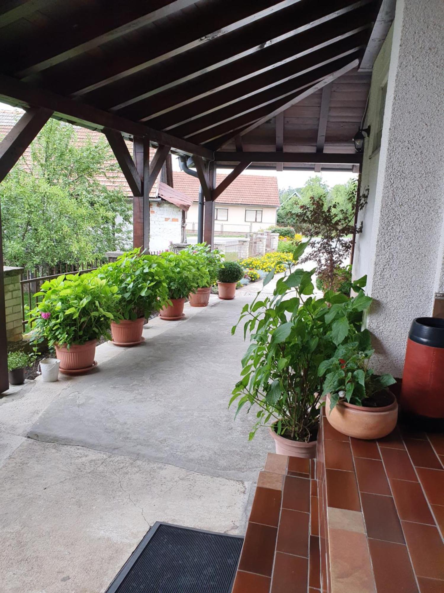 Guesthouse Vila Слунь Екстер'єр фото